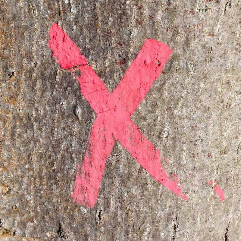 marker-do-drzew-czerwony0