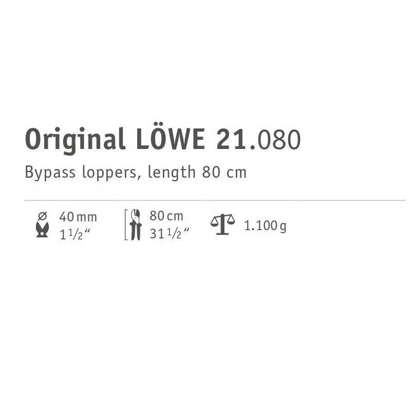 loewe-21080-sekator4
