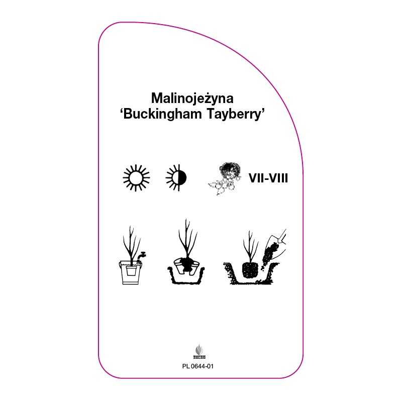 malinojezyna-buckingham-tayberry-0
