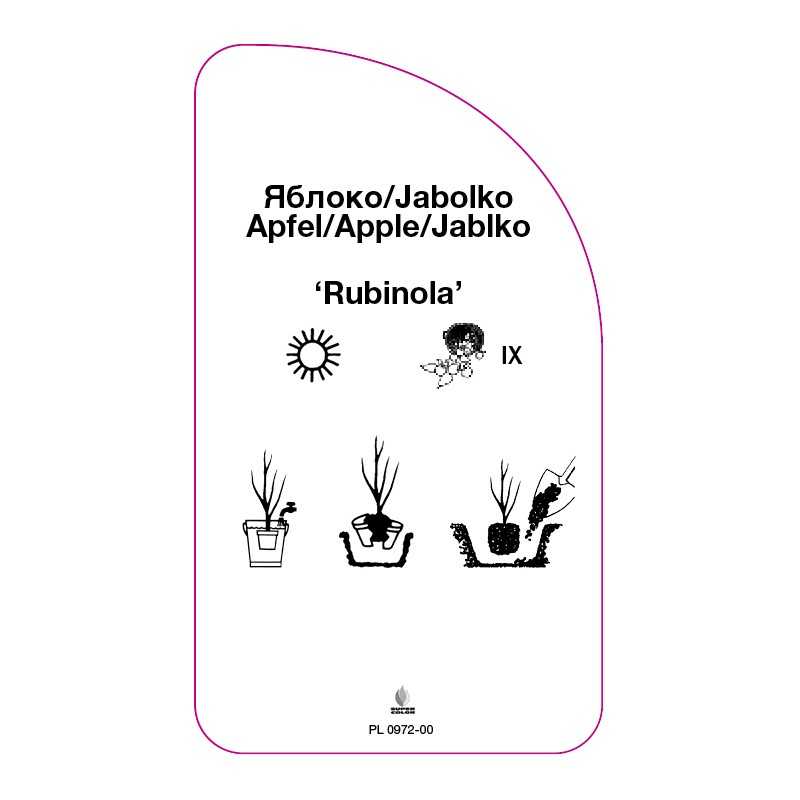 jablon-rubinola-0