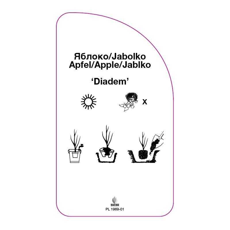 jablon-diadem-0