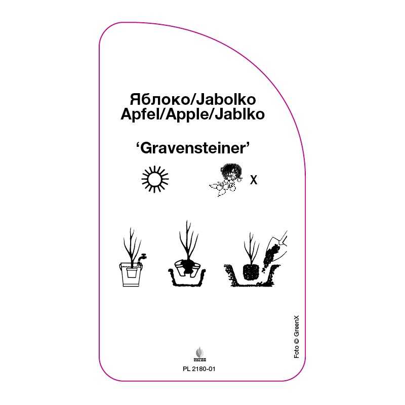 jablon-gravensteiner-0