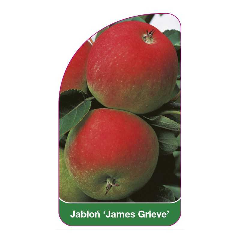 jablon-james-grieve-1
