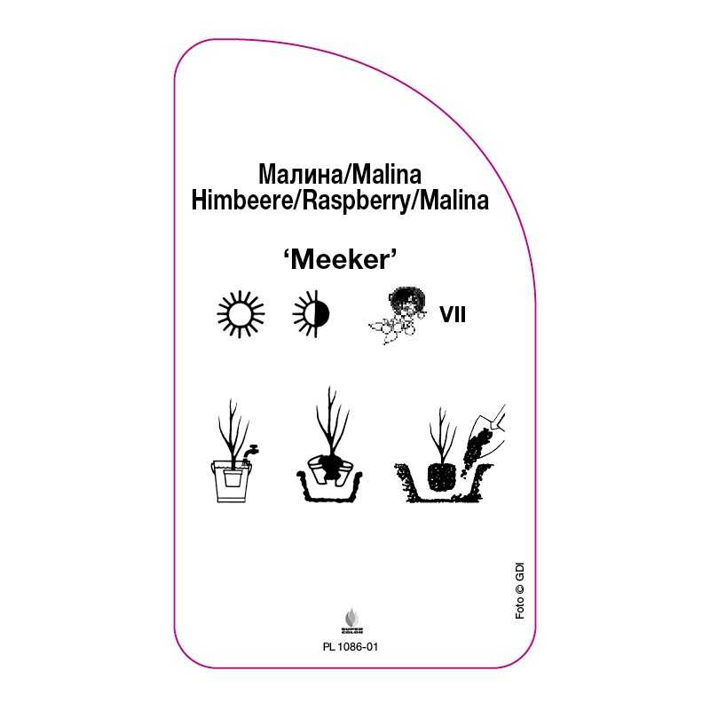 malina-meeker-0