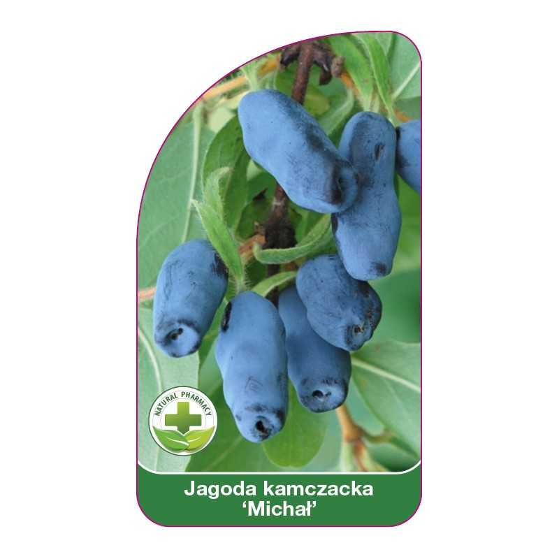 jagoda-kamczacka-michal-1