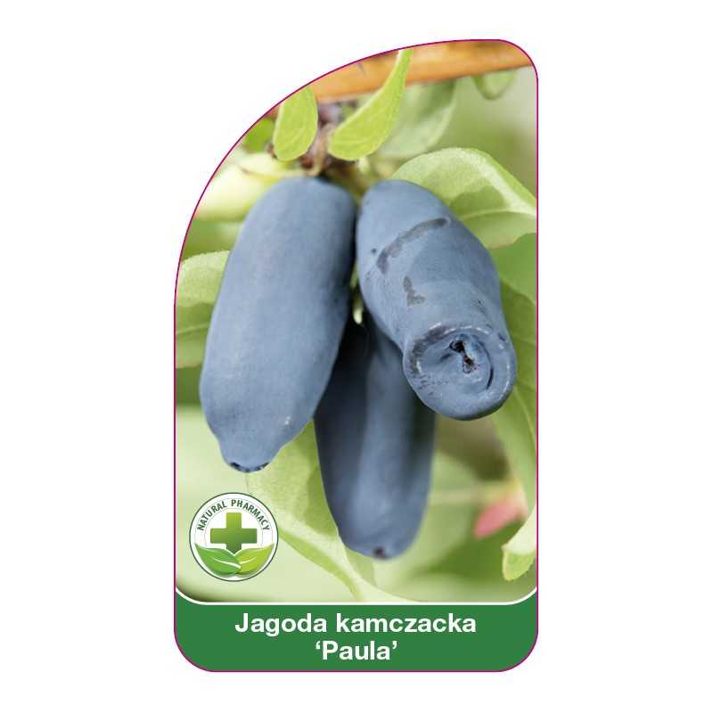 jagoda-kamczacka-paula-1