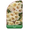 rhododendron-yakushimanum-flava-1