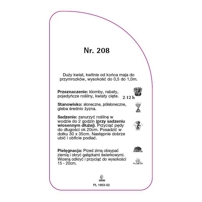 roza-wielkokwiatowa-208-b-standard0