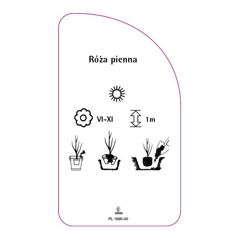roza-pienna-880