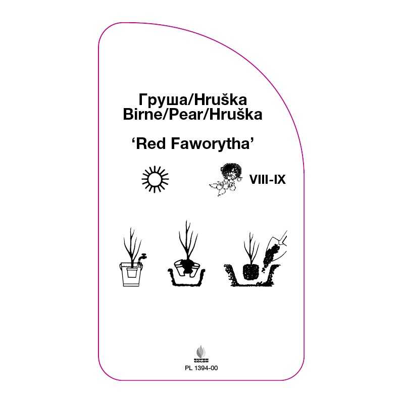 grusza-red-faworytha-0