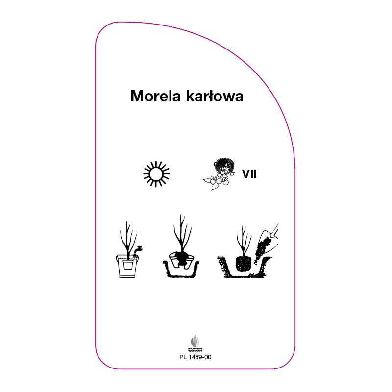 morela-karlowa0