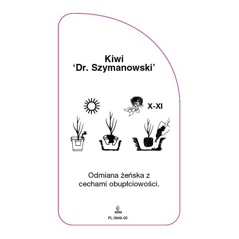 kiwi-dr-szymanowski-0