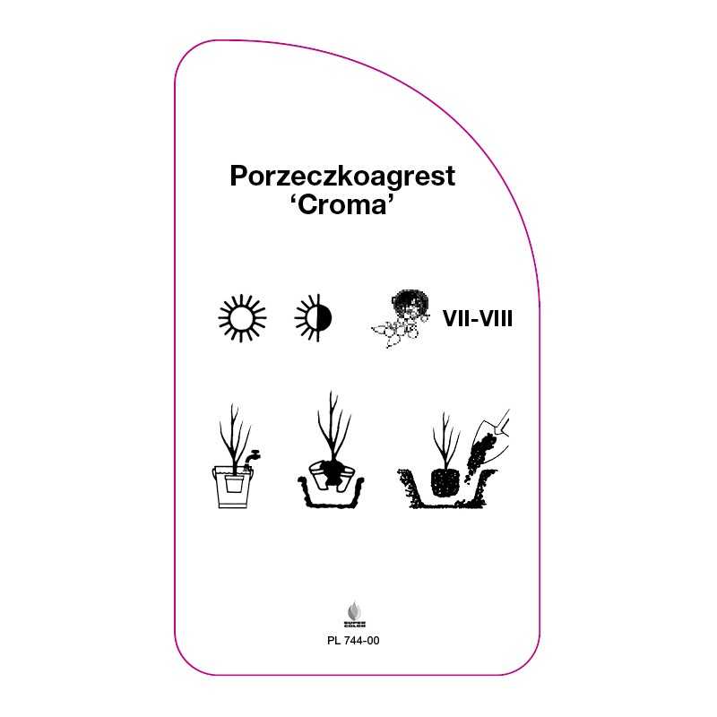 porzeczkoagrest-croma-0