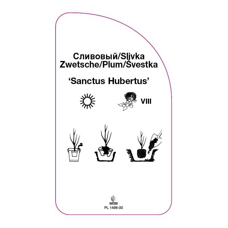 sliwa-sanctus-hubertus-0