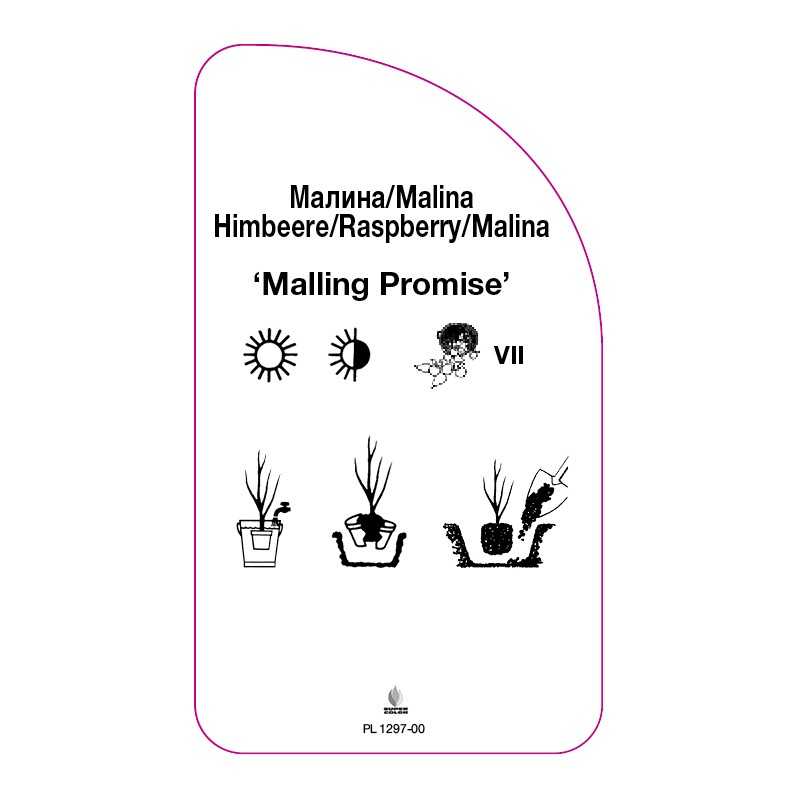 malina-malling-promise-0