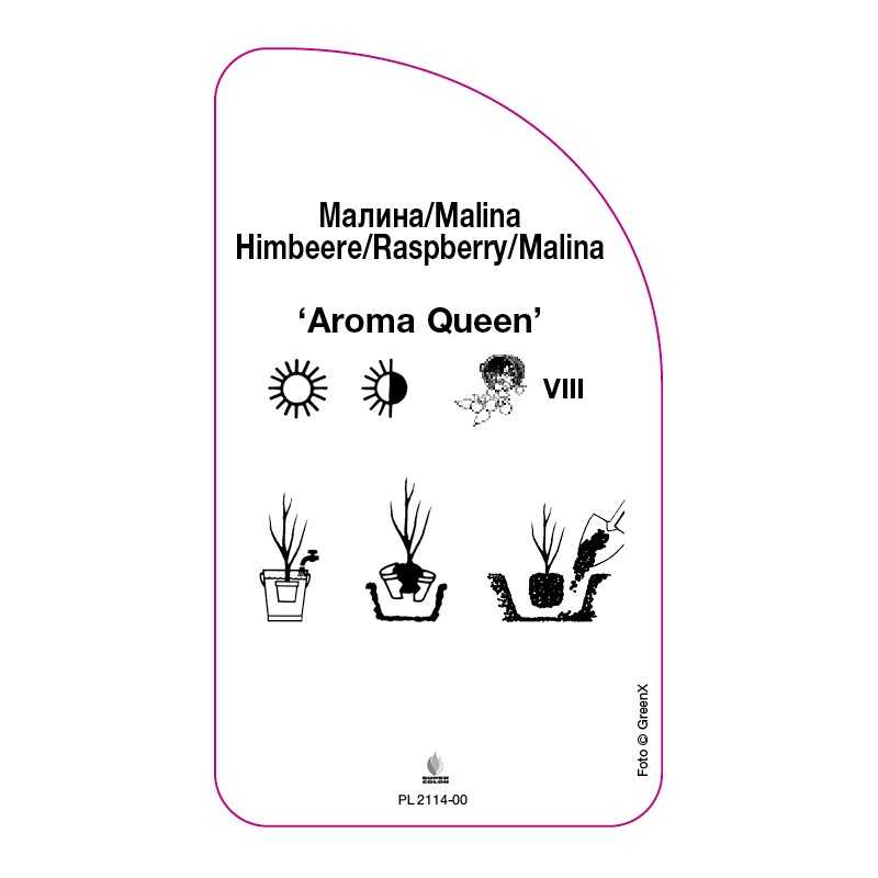 malina-aroma-queen-0