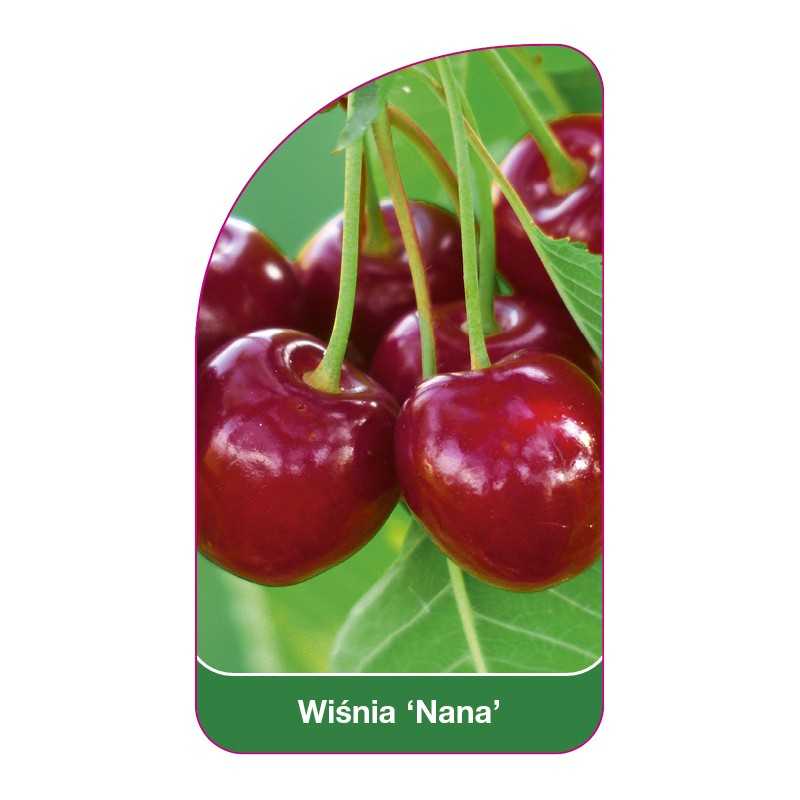 wisnia-nana-1