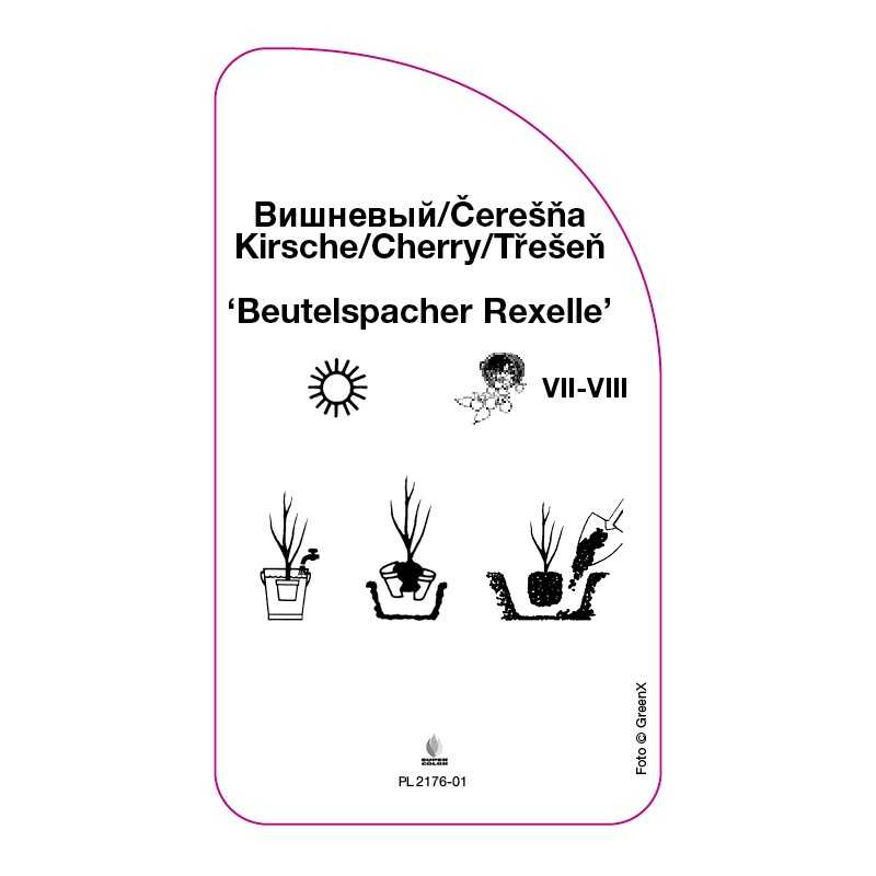 wisnia-beutelsbacher-rexelle-0