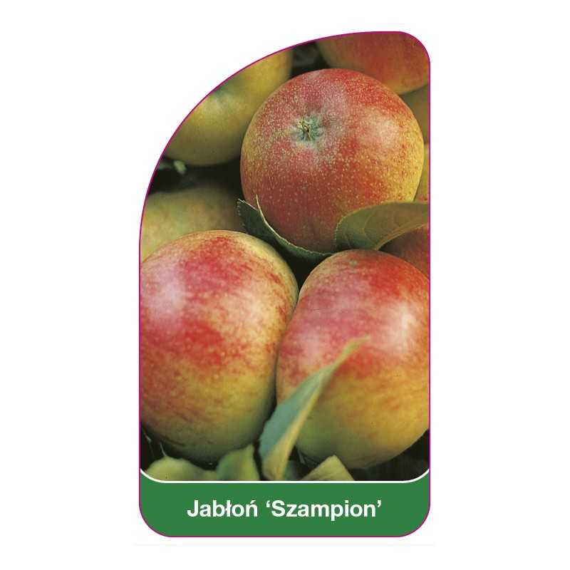 jablon-szampion-1