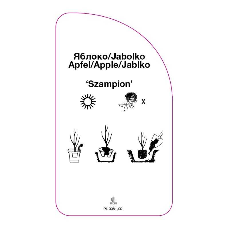 jablon-szampion-0