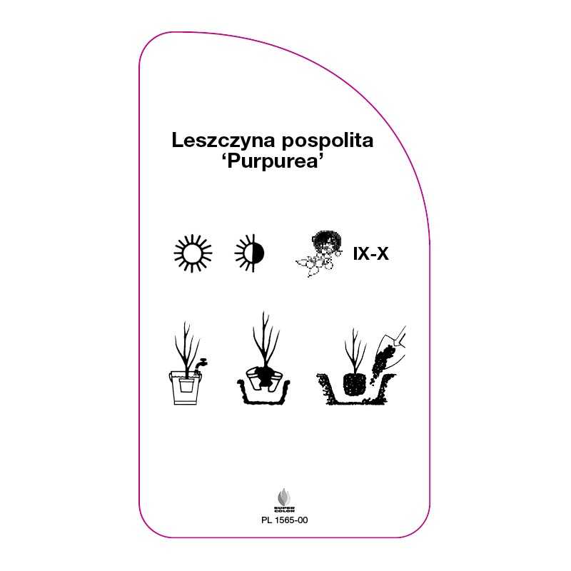 leszczyna-pospolita-purpurea-0