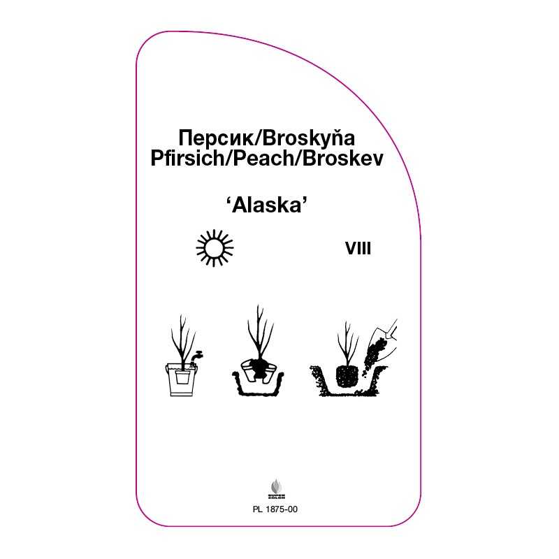 brzoskwinia-alaska-0