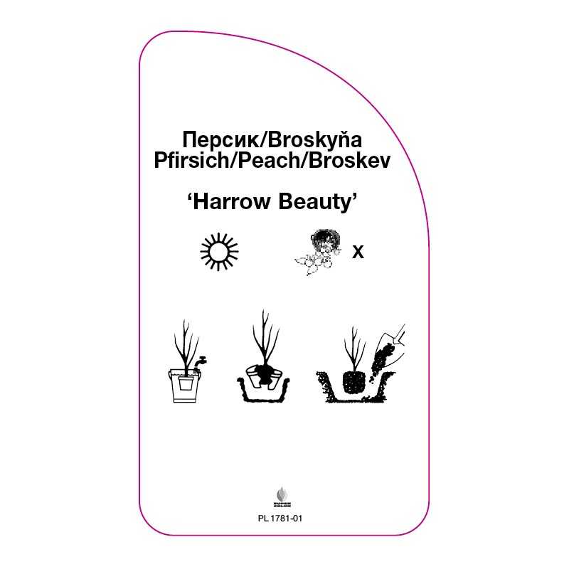 brzoskwinia-harrow-beauty-0