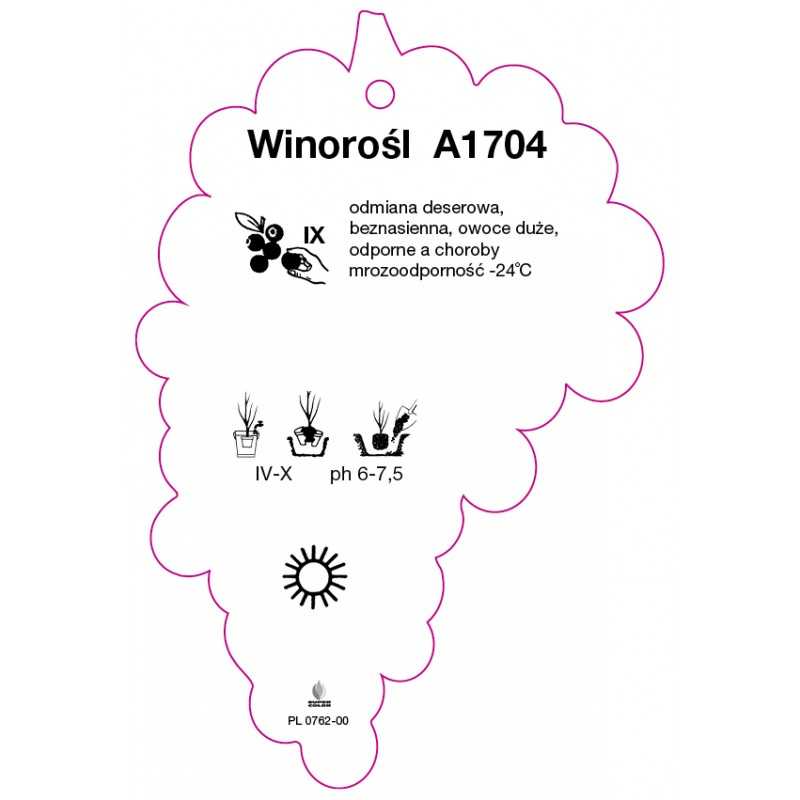 winorosl-a1704-jumbo0
