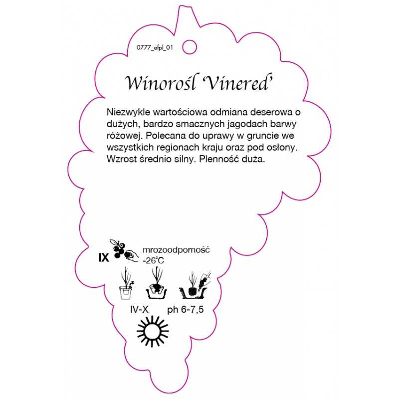 winorosl-vinered-0