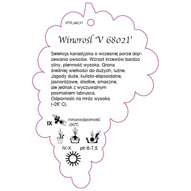 winorosl-v68021-jumbo0