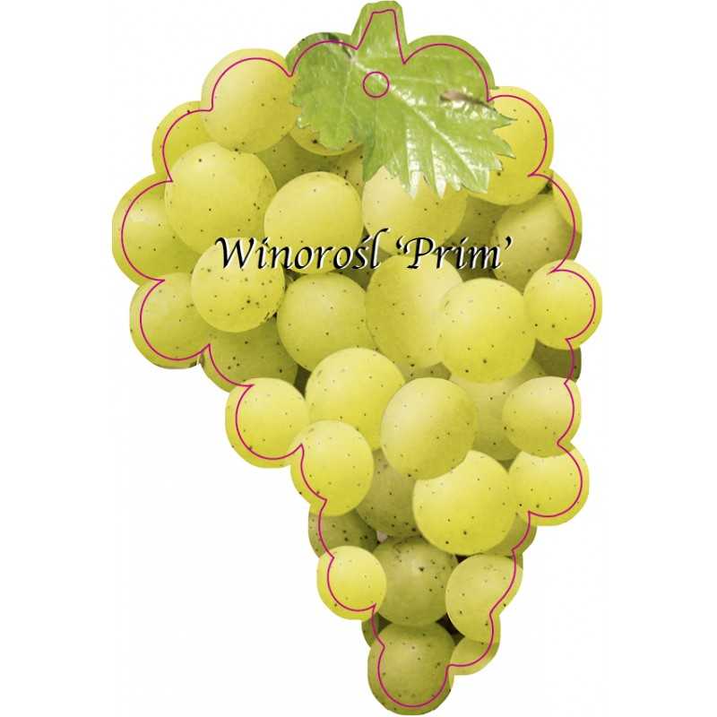 winorosl-prim-jumbo1