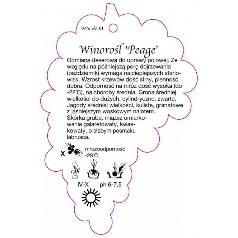 winorosl-peage-0