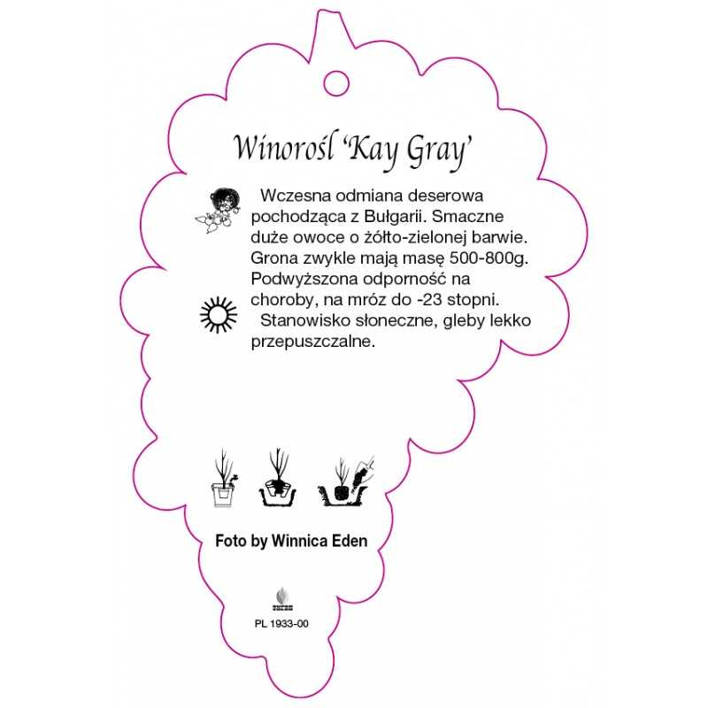 winorosl-kay-gray-0