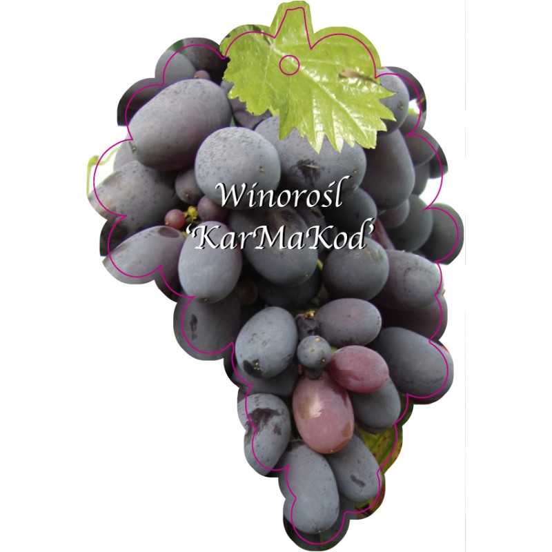 winorosl-karmakod-jumbo1