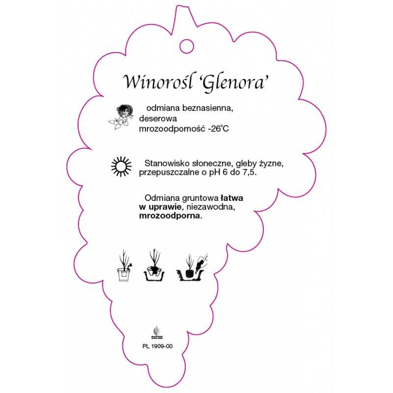 winorosl-glenora-0