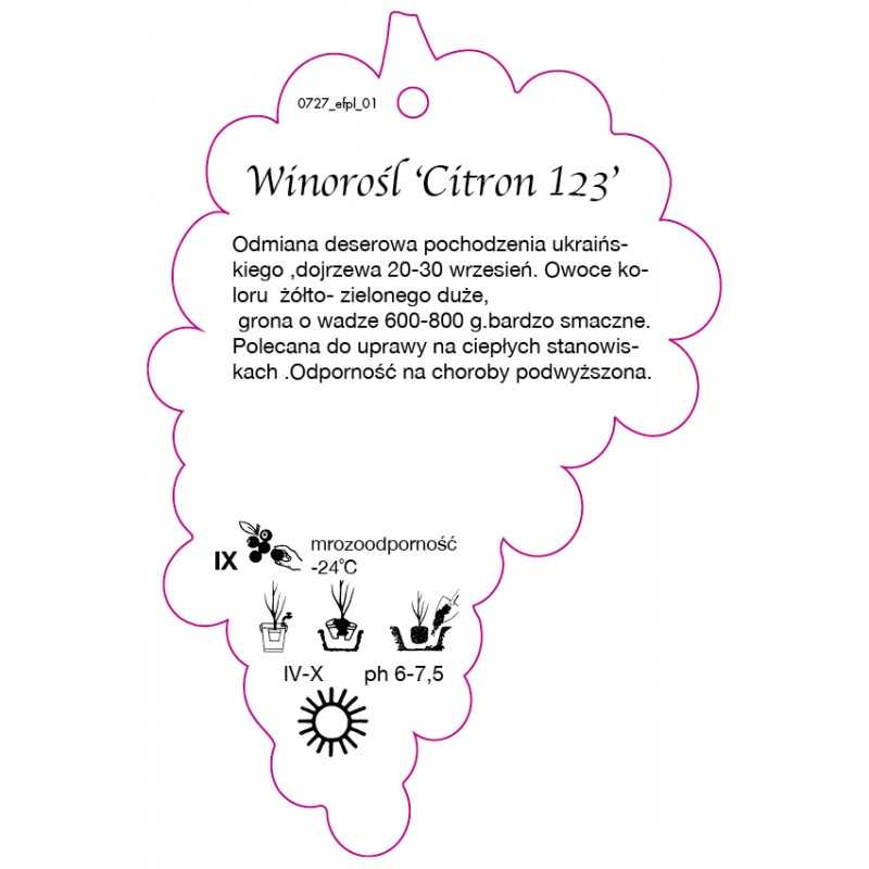 winorosl-citron-123-jumbo0