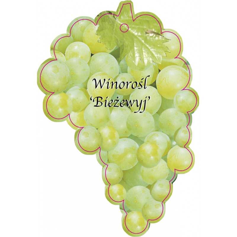 winorosl-biezewyj-jumbo1