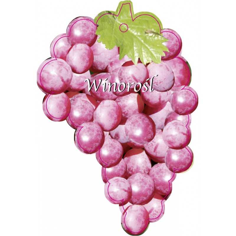 winorosl-owoc-jasny-roz-jumbo1