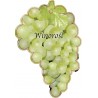 winorosl-owoc-zielony-jumbo1