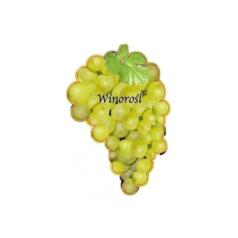 winorosl-owoc-zolty-jumbo1