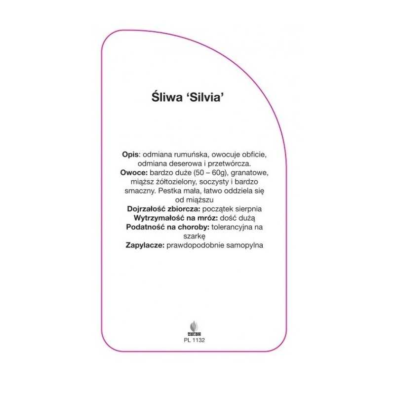 sliwa-silvia-0