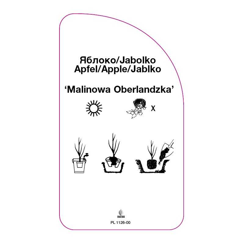 jablon-malinowa-oberlandzka-0