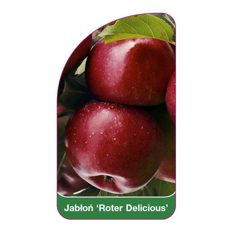 jablon-roter-delicious-b1