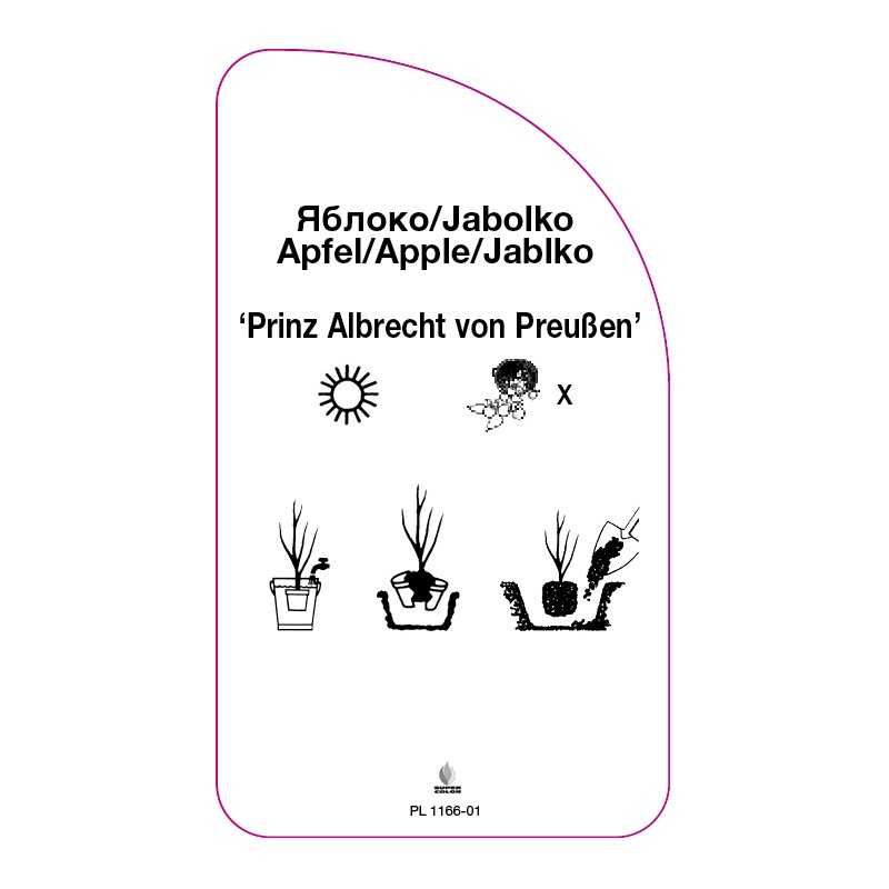 jablon-prinz-albrecht-von-preusen-0