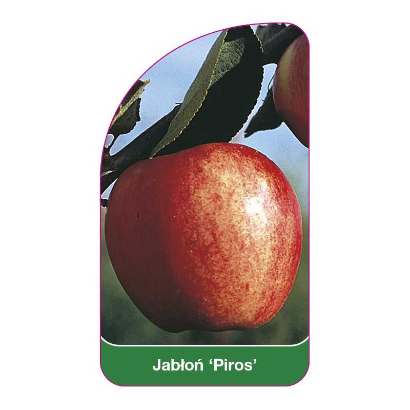 jablon-piros-1