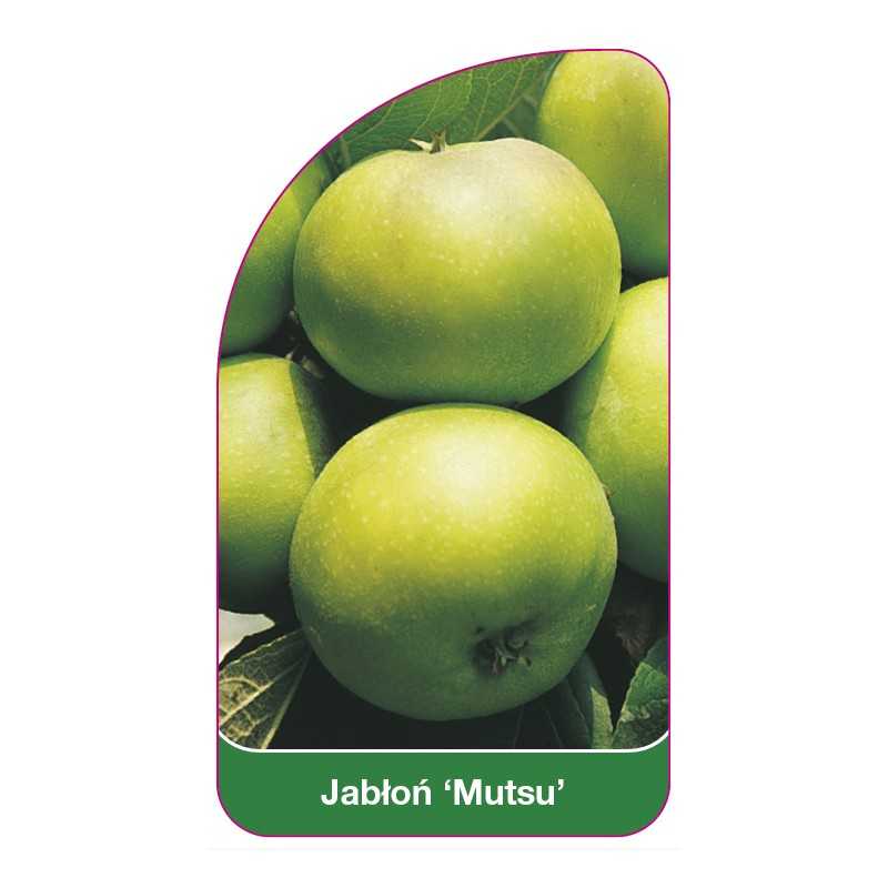 jablon-mutsu-1