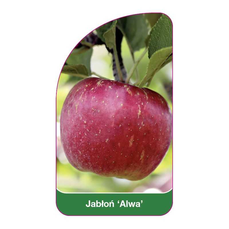 jablon-alwa-a1