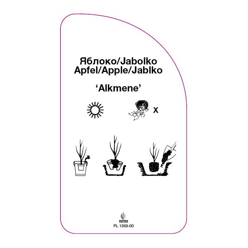 jablon-alkmene-0