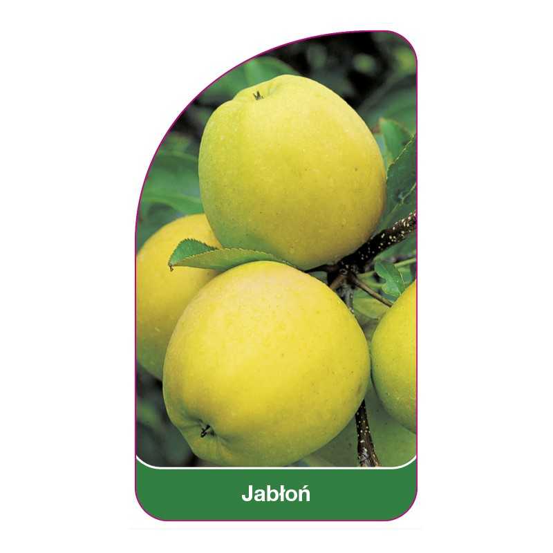 jablon-owoc-zolty1