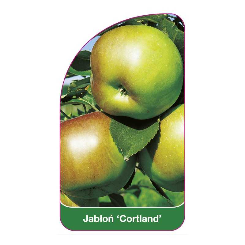 jablon-cortland-a1